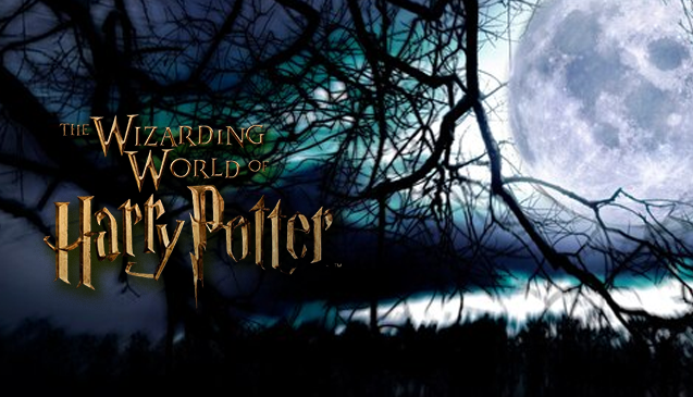 HBO Announces Casting Call for New Harry Potter TV Series: How to Apply