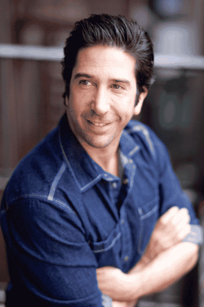 david schwimmer sister